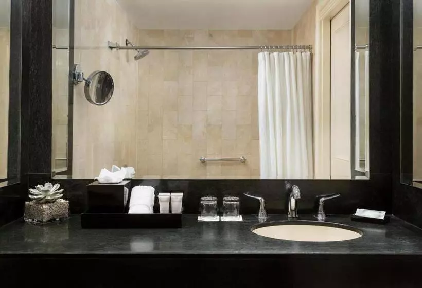 호텔 The Michelangelo