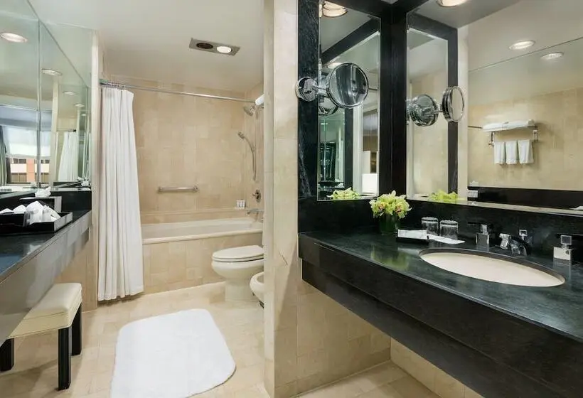 Hotelli The Michelangelo New York