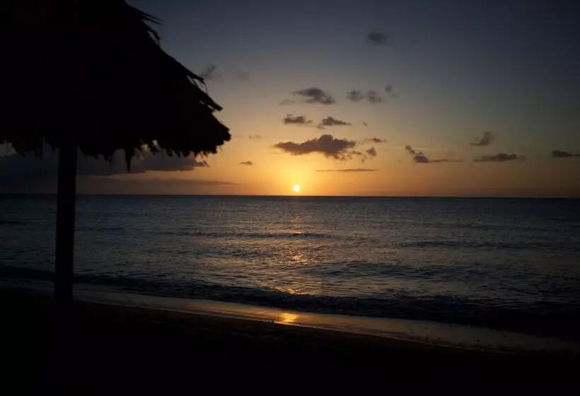 Tropikist Beach Hotel & Resort