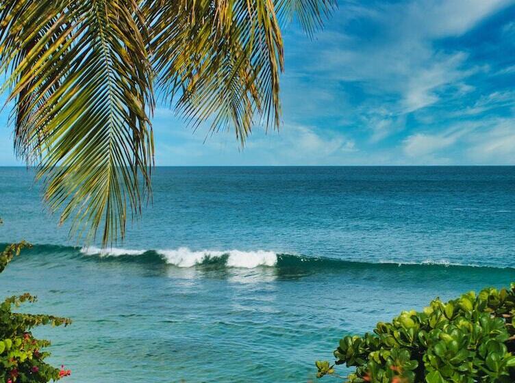 Tropikist Beach Hotel & Resort