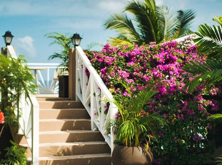 Tropikist Beach Hotel & Resort