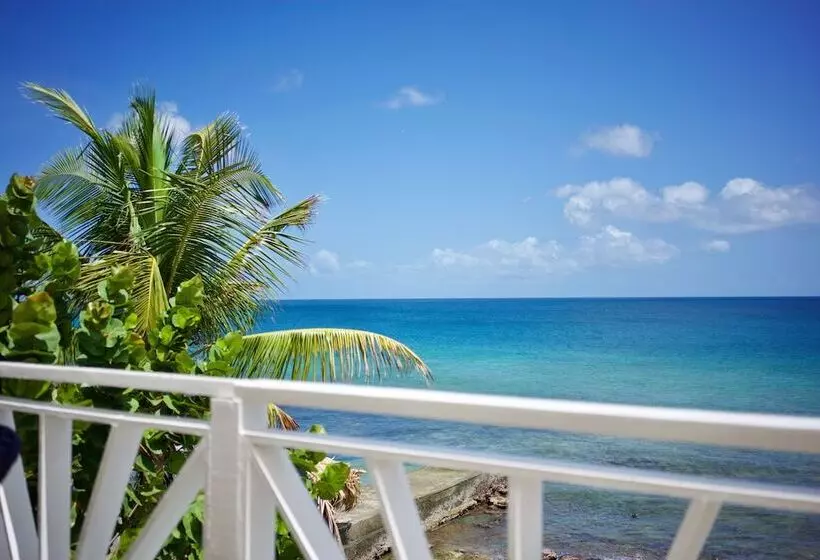 Tropikist Beach Hotel & Resort