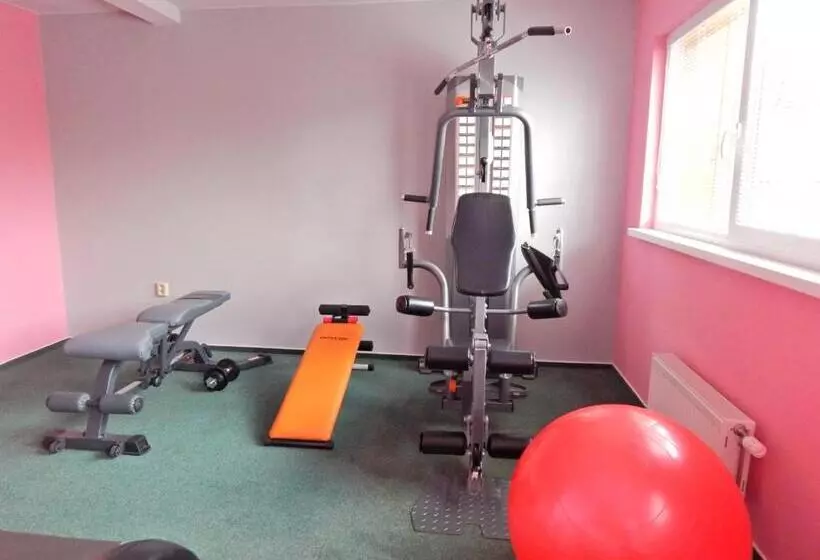 בית מלון כפרי Bystrina