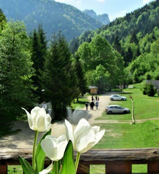 בית מלון כפרי Diery