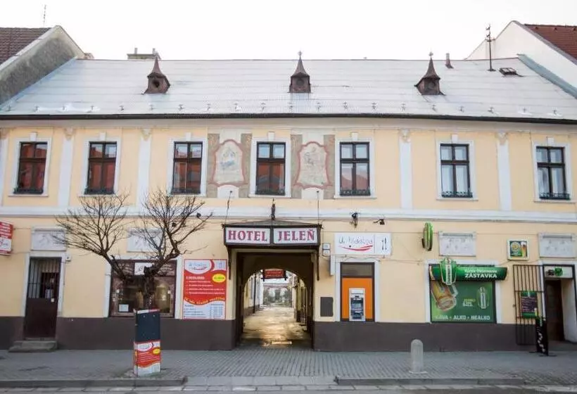 Отель Jeleň