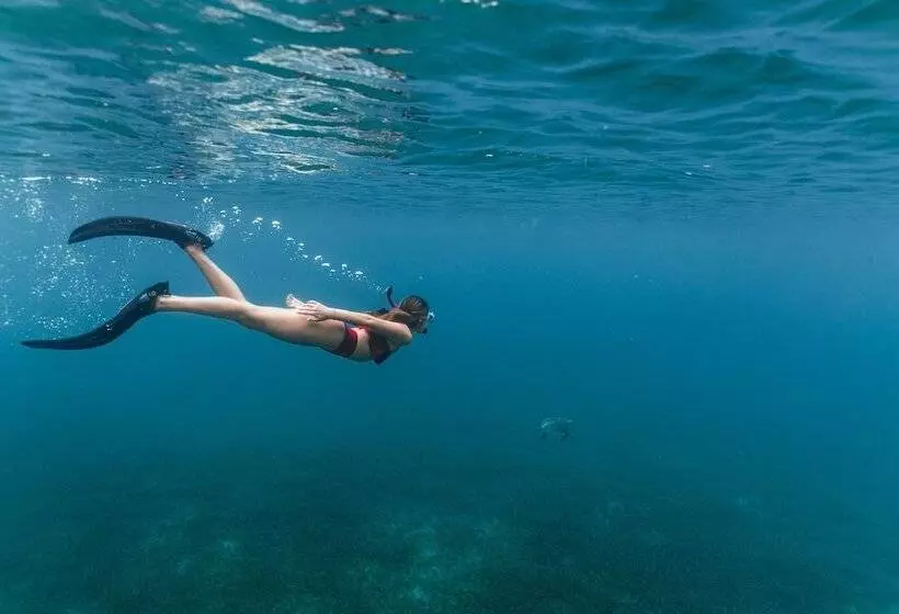 El Conquistador Resort  Puerto Rico