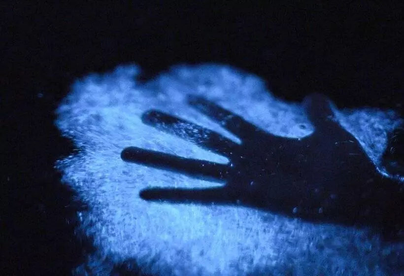 El Conquistador Resort  Puerto Rico