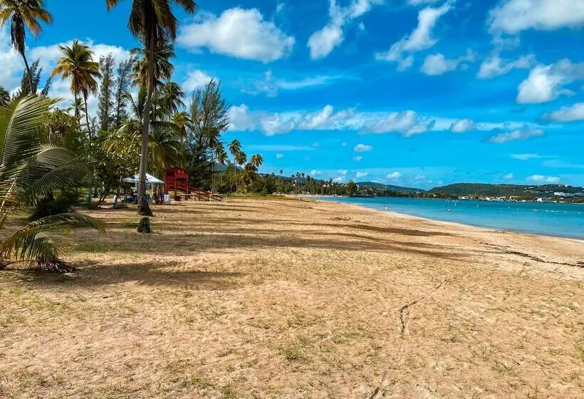 El Conquistador Resort  Puerto Rico