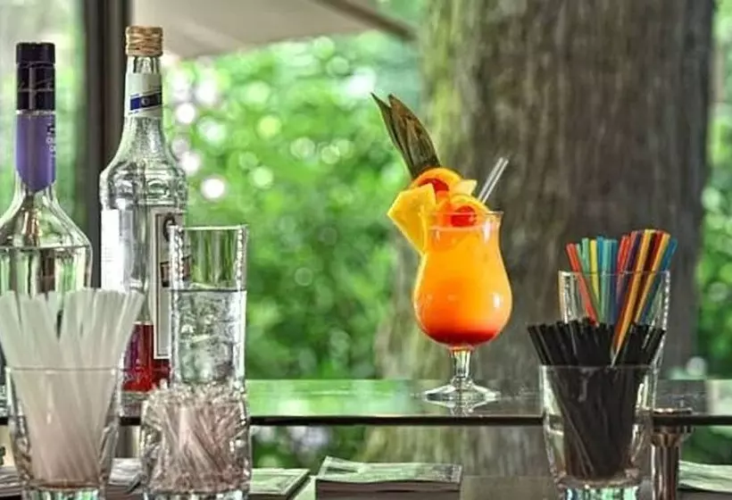 Privathotel Lindtner Hamburg