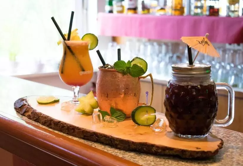 Quick Hotel Dresden West