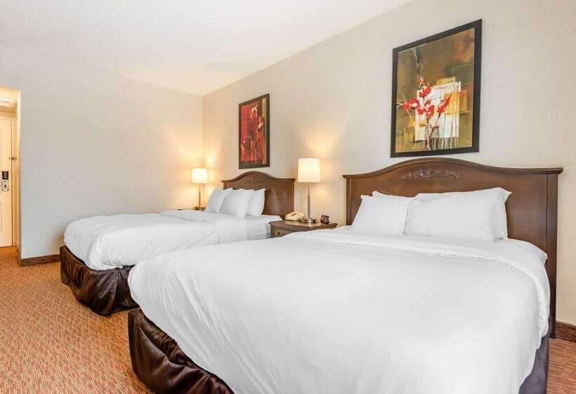 فندق Quality Inn