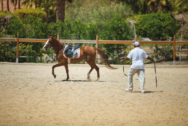 Movenpick Resort El Quseir