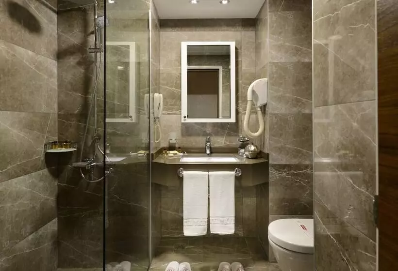 ホテル Yigitalp Istanbul