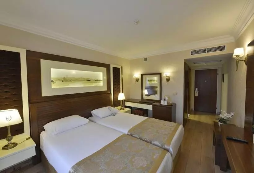 ホテル Yigitalp Istanbul