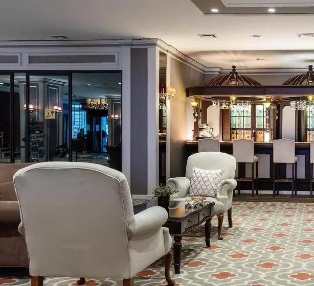 ホテル Yigitalp Istanbul