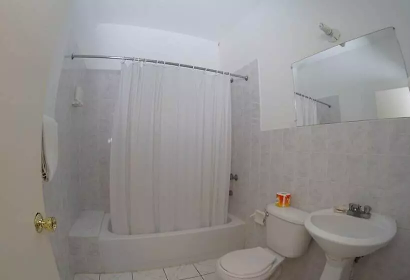 استراحتگاه Pure Oasis