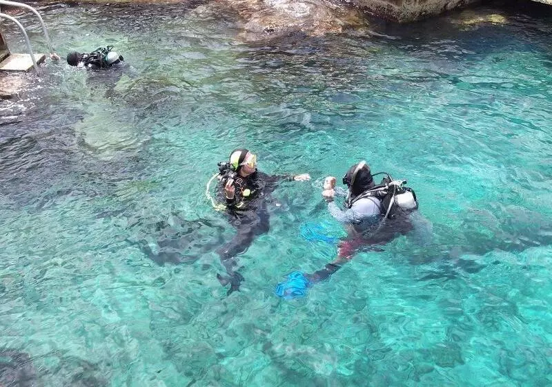 Cozumel Hotel & Resort Trademark Collection By Wyndham