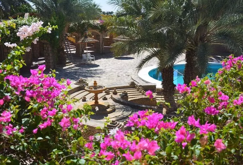 호텔 Caravansérail