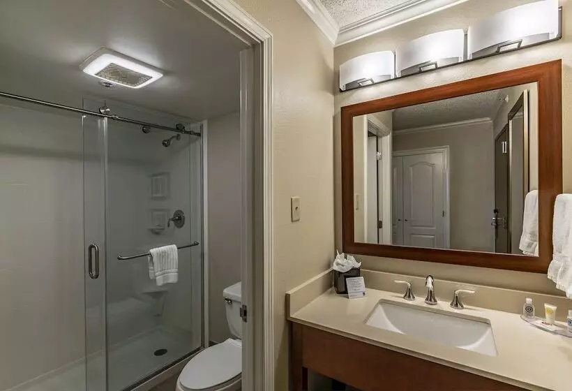 酒店 Comfort Inn & Suites At Copeland Tower