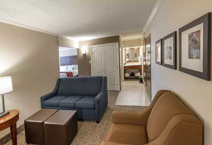 酒店 Comfort Inn & Suites At Copeland Tower