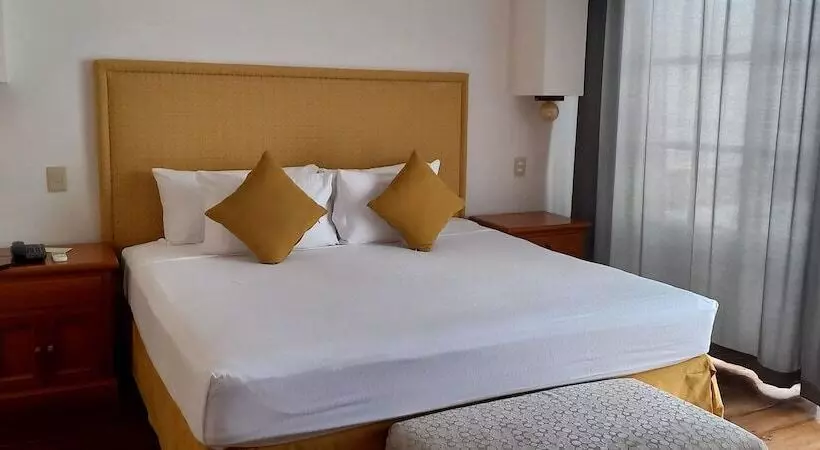 ホテル & Museo Casa Turquesa