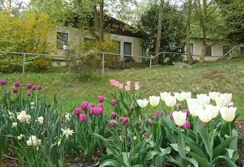 فندق Haus Chorin