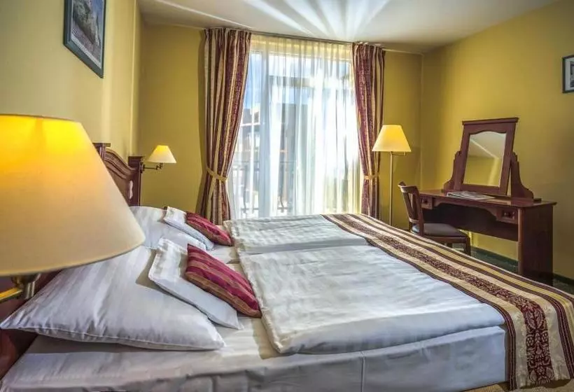 ホテル Kapitany Wellness