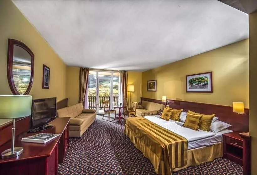 ホテル Kapitany Wellness