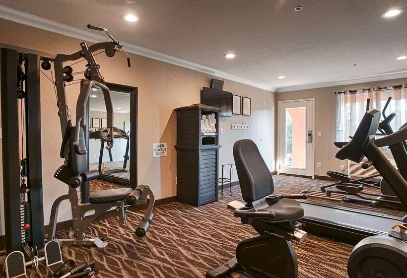 فندق Best Western Willows Inn