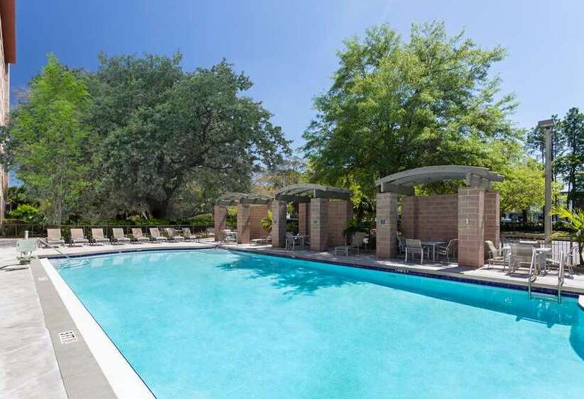 בית מלון כפרי Embassy Suites By Hilton Tampa Usf Near Busch Gardens