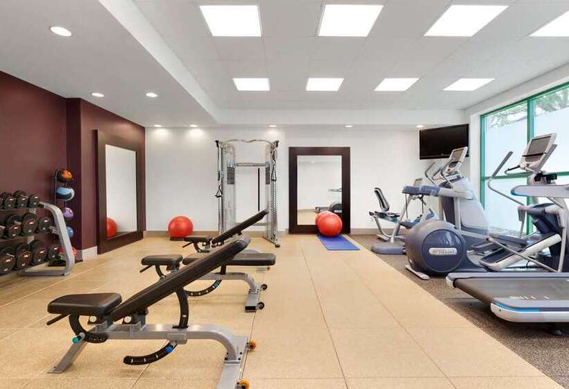 בית מלון כפרי Embassy Suites By Hilton Tampa Usf Near Busch Gardens