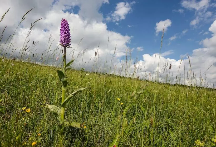 Horský Hotel Friesovy Boudy