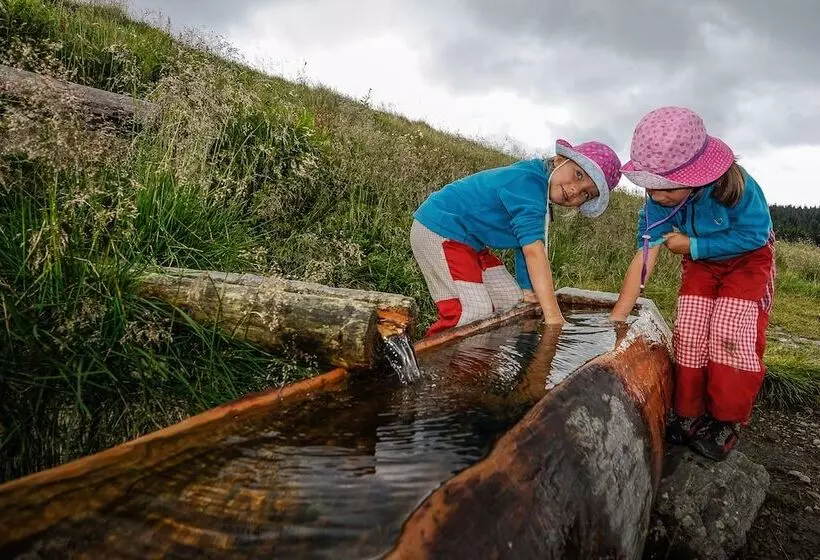 Horský Hotel Friesovy Boudy