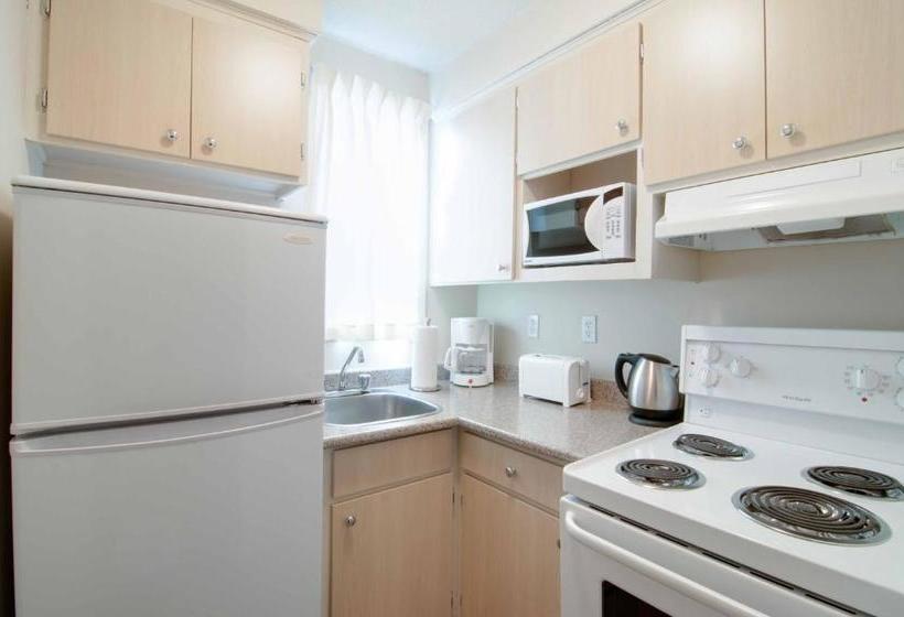 هتل La Tour Belvedere