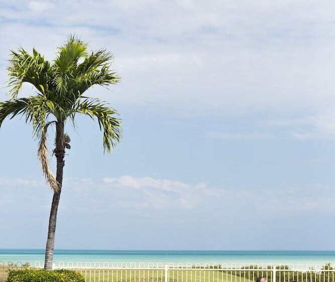 فندق Moonlight Bay Suites