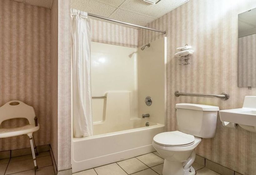 Отель Rodeway Inn