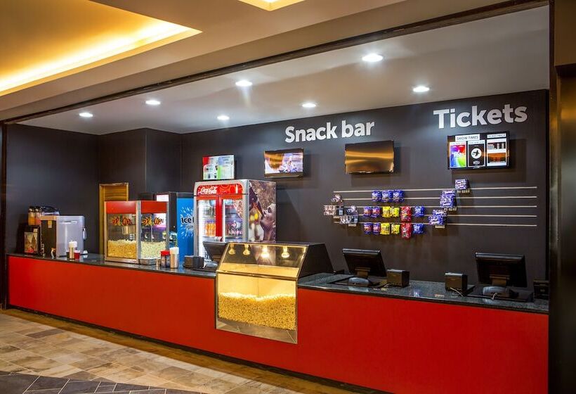 ホテル The Palace Of The Lost City At Sun City Resort