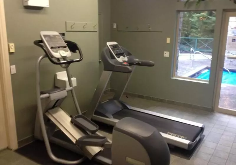 Pinnacle Hotel Whistler