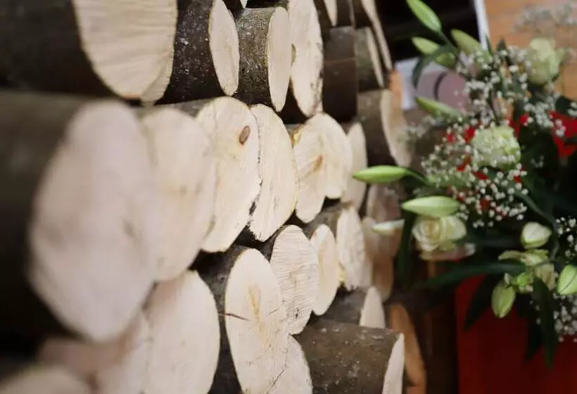 Отель Ben Wyvis