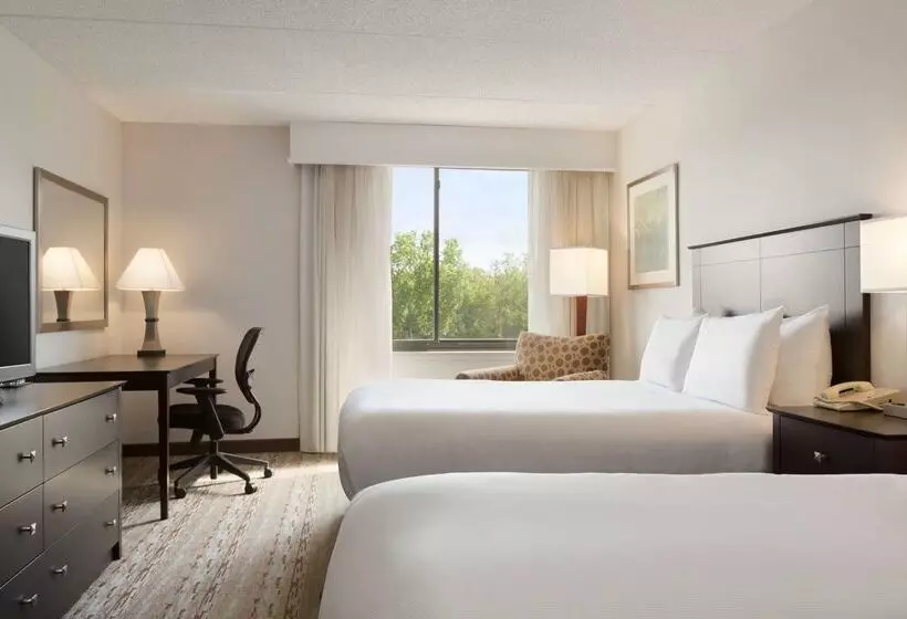 Hotel Doubletree By Hilton Hartford  Bradley Airport