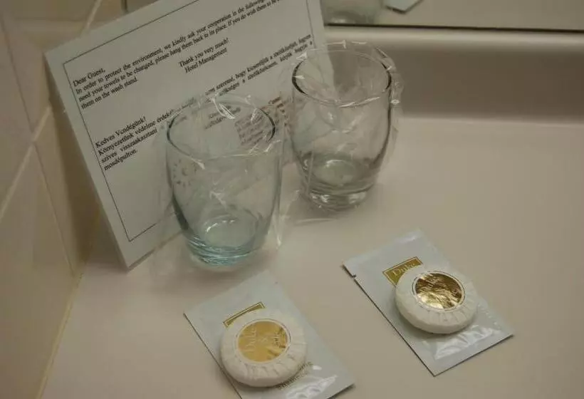 اقامتگاه Ceu Konferencia Központ