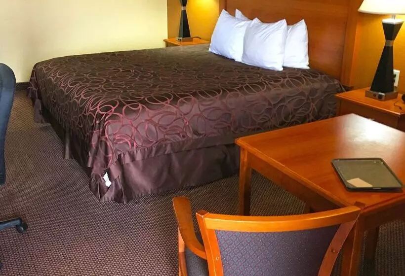 酒店 Xecutive Inn And Suites