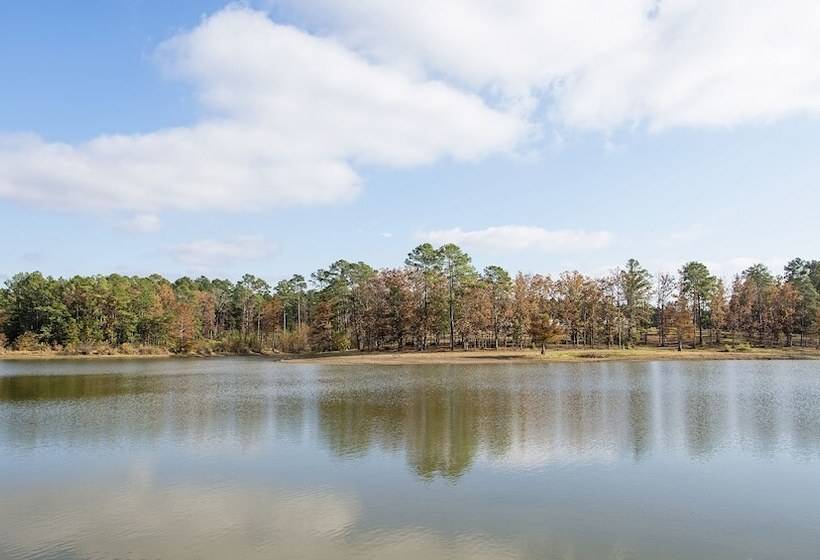 فندق Xecutive Inn And Suites