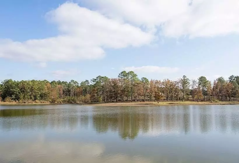 酒店 Xecutive Inn And Suites