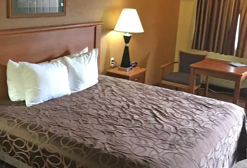 酒店 Xecutive Inn And Suites