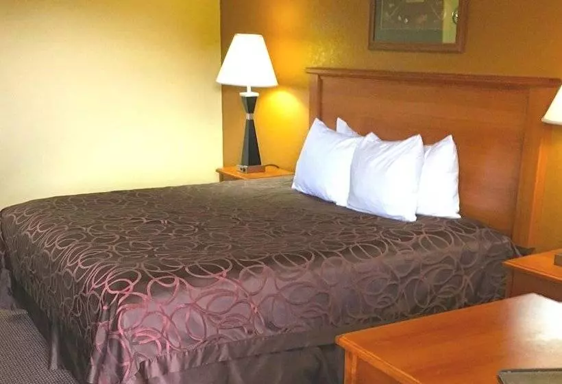 酒店 Xecutive Inn And Suites