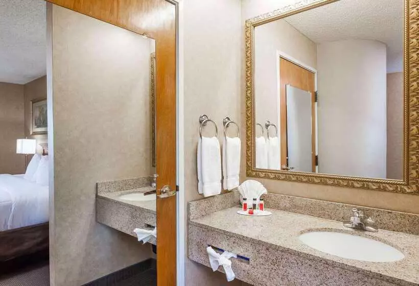 酒店 Baymont By Wyndham Barstow Historic Route 66