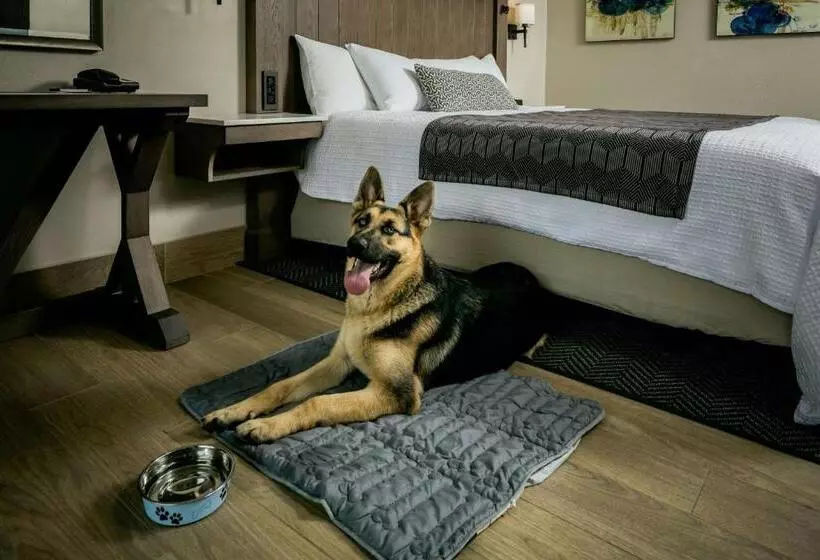 Szálloda Beachfront Inn