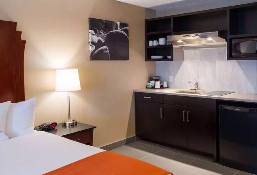 ホテル Best Western Northgate