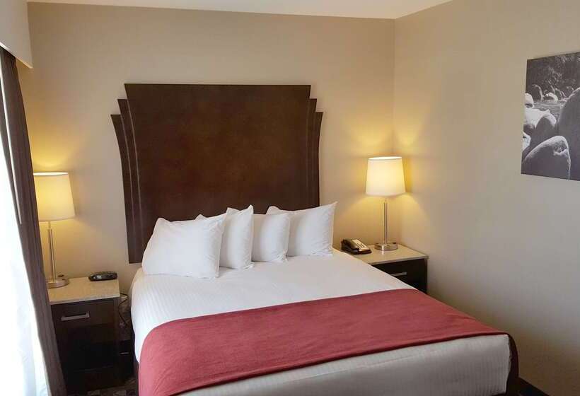 هتل Best Western Northgate